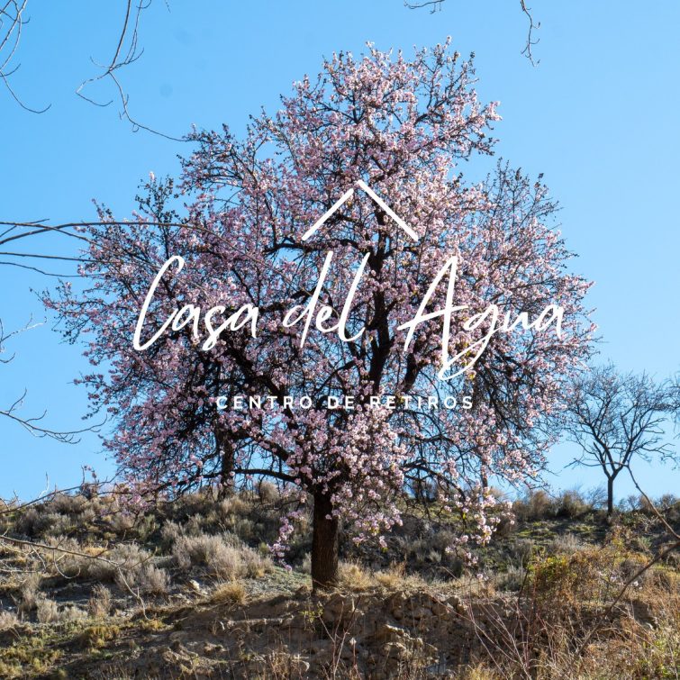 Casa del agua (3)